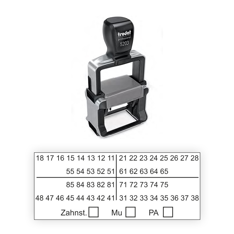 Zahnschema Stempel Z01